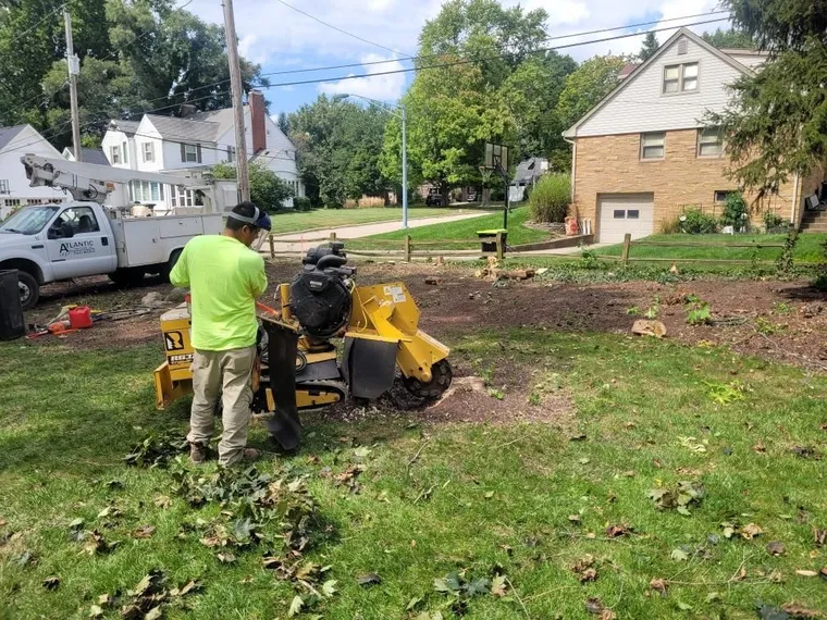 Stump grinding in progress on a residential property